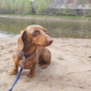 Meet your Posher, Aurelien